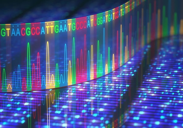 Image: The researchers have been awarded an NIH grant to identify genetic contributors to rare diseases in children (Photo courtesy of Adobe Stock)